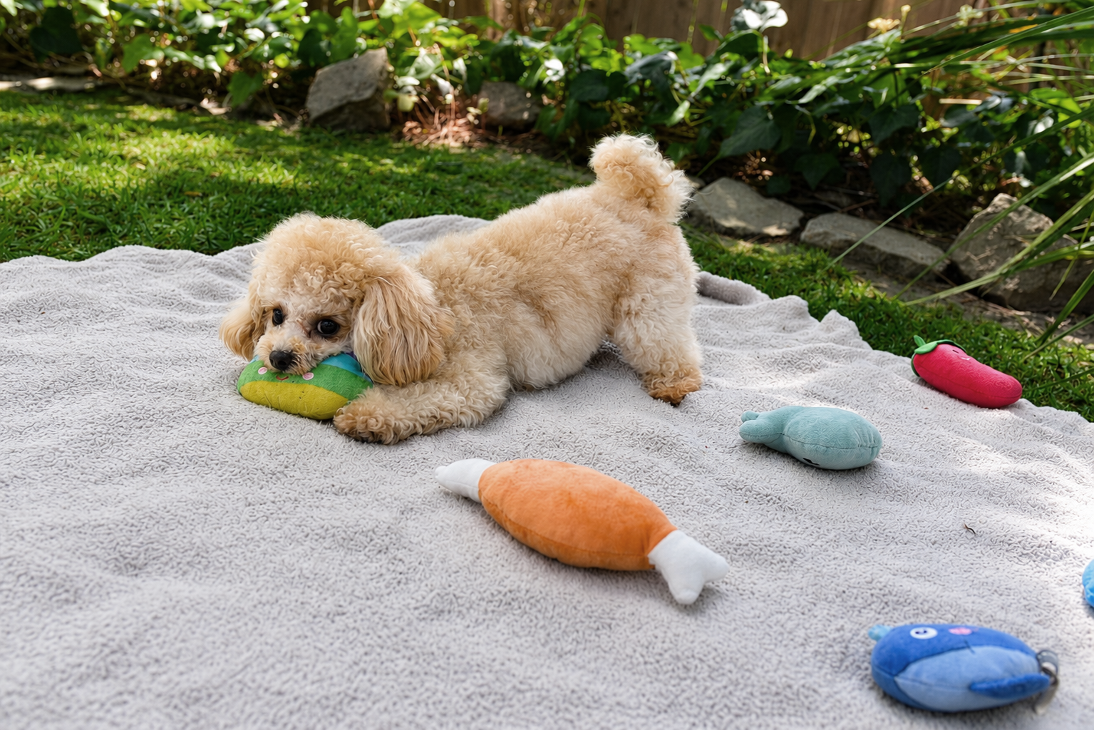 Adoptions — img-06.png